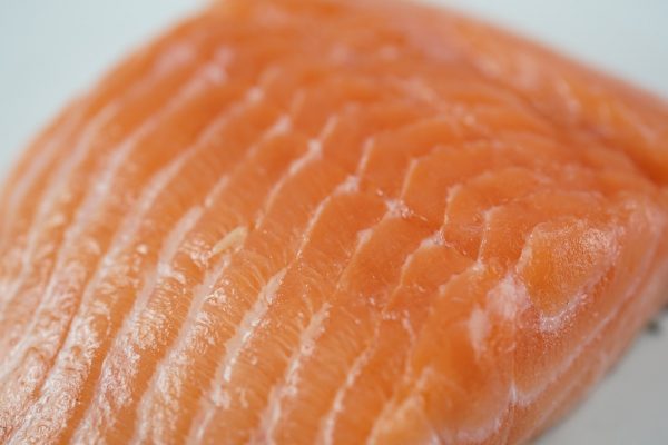 salmon, fish, salmon fillet